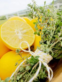 Лимонена мащерка  -thymus citriodorus lemon (7028)